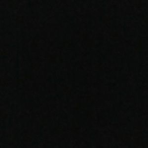 Meet your Posher, Tasneem